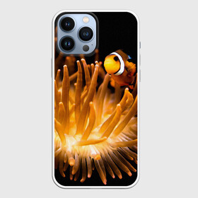 Чехол для iPhone 13 Pro Max с принтом Клоуны в актинии в Тюмени,  |  | актиния | клоуны | коралловые | море | подводный мир | рыбки