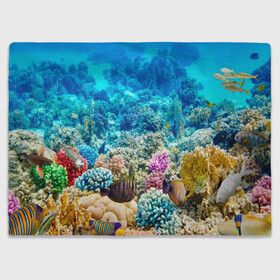 Плед 3D с принтом Риф в Тюмени, 100% полиэстер | закругленные углы, все края обработаны. Ткань не мнется и не растягивается | Тематика изображения на принте: коралловый риф | полосатые рыбы | риф | рыбы | сказочный риф