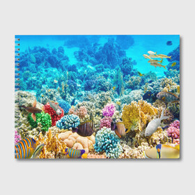 Альбом для рисования с принтом Риф в Тюмени, 100% бумага
 | матовая бумага, плотность 200 мг. | коралловый риф | полосатые рыбы | риф | рыбы | сказочный риф