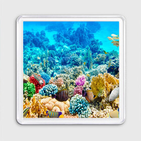Магнит 55*55 с принтом Риф в Тюмени, Пластик | Размер: 65*65 мм; Размер печати: 55*55 мм | Тематика изображения на принте: коралловый риф | полосатые рыбы | риф | рыбы | сказочный риф