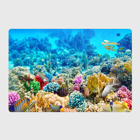 Магнитный плакат 3Х2 с принтом Риф в Тюмени, Полимерный материал с магнитным слоем | 6 деталей размером 9*9 см | Тематика изображения на принте: коралловый риф | полосатые рыбы | риф | рыбы | сказочный риф