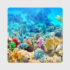 Магнит виниловый Квадрат с принтом Риф в Тюмени, полимерный материал с магнитным слоем | размер 9*9 см, закругленные углы | Тематика изображения на принте: коралловый риф | полосатые рыбы | риф | рыбы | сказочный риф