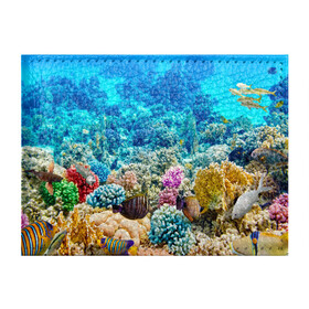 Обложка для студенческого билета с принтом Риф в Тюмени, натуральная кожа | Размер: 11*8 см; Печать на всей внешней стороне | Тематика изображения на принте: коралловый риф | полосатые рыбы | риф | рыбы | сказочный риф