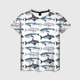 Женская футболка 3D с принтом киты в Тюмени, 100% полиэфир ( синтетическое хлопкоподобное полотно) | прямой крой, круглый вырез горловины, длина до линии бедер | ocean | sea | касатки | киты | море | морские мотивы | морской принт | морской фон | океан | паттерн | рыбы | текстуры