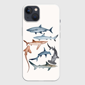 Чехол для iPhone 13 с принтом акулы в Тюмени,  |  | ocean | sea | sea animal | акулы | графика | море | океан | рисунок