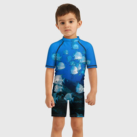 Детский купальный костюм 3D с принтом рыбы в Тюмени, Полиэстер 85%, Спандекс 15% | застежка на молнии на спине | Тематика изображения на принте: косяк рыб | морские жители | на глубине | на дне морском | рыба