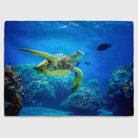 Плед 3D с принтом Морская черепаха в Тюмени, 100% полиэстер | закругленные углы, все края обработаны. Ткань не мнется и не растягивается | морская черепаха | океан | подводный мир | черепаха