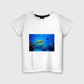 Детская футболка хлопок с принтом Морская черепаха в Тюмени, 100% хлопок | круглый вырез горловины, полуприлегающий силуэт, длина до линии бедер | морская черепаха | океан | подводный мир | черепаха