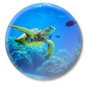 Значок с принтом Морская черепаха в Тюмени,  металл | круглая форма, металлическая застежка в виде булавки | Тематика изображения на принте: морская черепаха | океан | подводный мир | черепаха