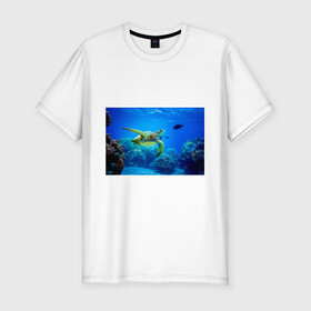 Мужская футболка хлопок Slim с принтом Морская черепаха в Тюмени, 92% хлопок, 8% лайкра | приталенный силуэт, круглый вырез ворота, длина до линии бедра, короткий рукав | морская черепаха | океан | подводный мир | черепаха