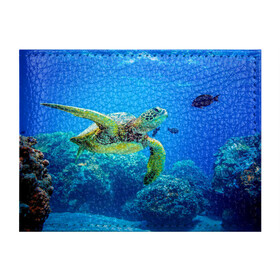 Обложка для студенческого билета с принтом Морская черепаха в Тюмени, натуральная кожа | Размер: 11*8 см; Печать на всей внешней стороне | Тематика изображения на принте: морская черепаха | океан | подводный мир | черепаха