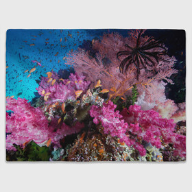 Плед 3D с принтом Коралловые рыбки в Тюмени, 100% полиэстер | закругленные углы, все края обработаны. Ткань не мнется и не растягивается | Тематика изображения на принте: коралловые | кораллы | море | морские обитатели | океан | подводный мир | рыбки