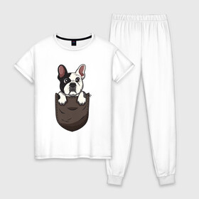Женская пижама хлопок с принтом Карманный пёс в Тюмени, 100% хлопок | брюки и футболка прямого кроя, без карманов, на брюках мягкая резинка на поясе и по низу штанин | бульдог | дог | карман | пес | собака