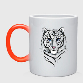 Кружка хамелеон с принтом Белый тигр в Тюмени, керамика | меняет цвет при нагревании, емкость 330 мл | альфа | белый | дикие | дикий | животные | звери | зверь | кот | котик | крутой | полоски | принт | природа | самец | тигр | тигриныйкрасивый