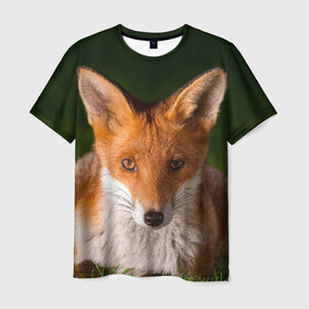 Мужская футболка 3D с принтом Лисица в Тюмени, 100% полиэфир | прямой крой, круглый вырез горловины, длина до линии бедер | fox | foxy | животное | звери | лиса | лисенок | лисичка | милая | рыжая | фокс