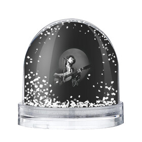 Игрушка Снежный шар с принтом Цой на концерте в Тюмени, Пластик | Изображение внутри шара печатается на глянцевой фотобумаге с двух сторон | kino | rock | кино | музыкант | рок | русский рок | сой | тцой | цой