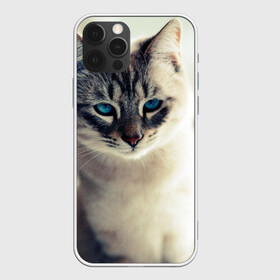 Чехол для iPhone 12 Pro Max с принтом Кот с Голубыми глазами в Тюмени, Силикон |  | глаза | голубые глаза | животные | кот | кошка