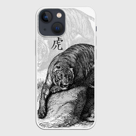 Чехол для iPhone 13 mini с принтом Тигр и змея в Тюмени,  |  | дикий.природа | животные | зверь | змея | иероглиф | кошка | надпись на японском | тигр