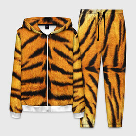Мужской костюм 3D с принтом Шкура Тигра в Тюмени, 100% полиэстер | Манжеты и пояс оформлены тканевой резинкой, двухслойный капюшон со шнурком для регулировки, карманы спереди | skin | tiger | wool | тигр