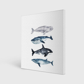 Холст квадратный с принтом киты в Тюмени, 100% ПВХ |  | ocean | orca | sea | sea animal | whale | белуха | дельфин | касатка | кит | море | океан | рисунок кита | синий кит