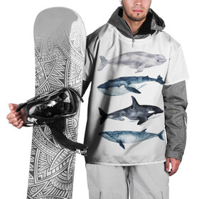 Накидка на куртку 3D с принтом киты в Тюмени, 100% полиэстер |  | ocean | orca | sea | sea animal | whale | белуха | дельфин | касатка | кит | море | океан | рисунок кита | синий кит