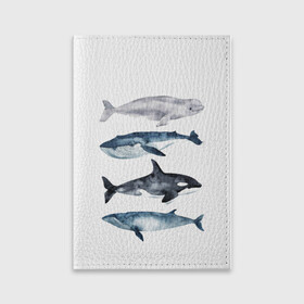 Обложка для паспорта матовая кожа с принтом киты в Тюмени, натуральная матовая кожа | размер 19,3 х 13,7 см; прозрачные пластиковые крепления | Тематика изображения на принте: ocean | orca | sea | sea animal | whale | белуха | дельфин | касатка | кит | море | океан | рисунок кита | синий кит