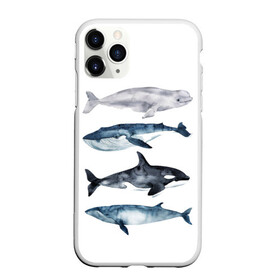 Чехол для iPhone 11 Pro матовый с принтом киты в Тюмени, Силикон |  | ocean | orca | sea | sea animal | whale | белуха | дельфин | касатка | кит | море | океан | рисунок кита | синий кит
