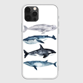 Чехол для iPhone 12 Pro с принтом киты в Тюмени, силикон | область печати: задняя сторона чехла, без боковых панелей | Тематика изображения на принте: ocean | orca | sea | sea animal | whale | белуха | дельфин | касатка | кит | море | океан | рисунок кита | синий кит