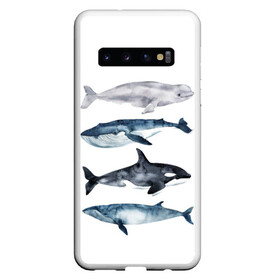 Чехол для Samsung Galaxy S10 с принтом киты в Тюмени, Силикон | Область печати: задняя сторона чехла, без боковых панелей | Тематика изображения на принте: ocean | orca | sea | sea animal | whale | белуха | дельфин | касатка | кит | море | океан | рисунок кита | синий кит