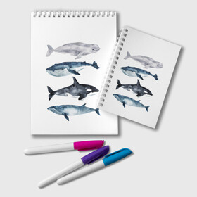Блокнот с принтом киты в Тюмени, 100% бумага | 48 листов, плотность листов — 60 г/м2, плотность картонной обложки — 250 г/м2. Листы скреплены удобной пружинной спиралью. Цвет линий — светло-серый
 | Тематика изображения на принте: ocean | orca | sea | sea animal | whale | белуха | дельфин | касатка | кит | море | океан | рисунок кита | синий кит