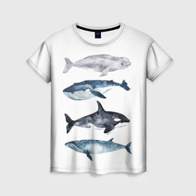 Женская футболка 3D с принтом киты в Тюмени, 100% полиэфир ( синтетическое хлопкоподобное полотно) | прямой крой, круглый вырез горловины, длина до линии бедер | ocean | orca | sea | sea animal | whale | белуха | дельфин | касатка | кит | море | океан | рисунок кита | синий кит