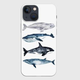 Чехол для iPhone 13 mini с принтом киты в Тюмени,  |  | Тематика изображения на принте: ocean | orca | sea | sea animal | whale | белуха | дельфин | касатка | кит | море | океан | рисунок кита | синий кит