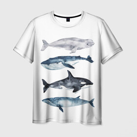 Мужская футболка 3D с принтом киты в Тюмени, 100% полиэфир | прямой крой, круглый вырез горловины, длина до линии бедер | Тематика изображения на принте: ocean | orca | sea | sea animal | whale | белуха | дельфин | касатка | кит | море | океан | рисунок кита | синий кит
