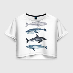 Женская футболка Crop-top 3D с принтом киты в Тюмени, 100% полиэстер | круглая горловина, длина футболки до линии талии, рукава с отворотами | ocean | orca | sea | sea animal | whale | белуха | дельфин | касатка | кит | море | океан | рисунок кита | синий кит