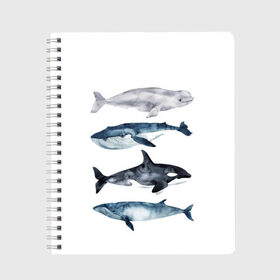 Тетрадь с принтом киты в Тюмени, 100% бумага | 48 листов, плотность листов — 60 г/м2, плотность картонной обложки — 250 г/м2. Листы скреплены сбоку удобной пружинной спиралью. Уголки страниц и обложки скругленные. Цвет линий — светло-серый
 | Тематика изображения на принте: ocean | orca | sea | sea animal | whale | белуха | дельфин | касатка | кит | море | океан | рисунок кита | синий кит