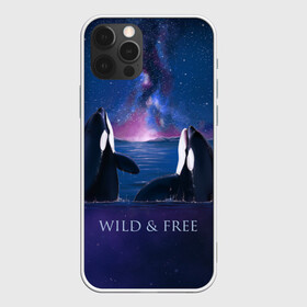 Чехол для iPhone 12 Pro Max с принтом косатка в Тюмени, Силикон |  | Тематика изображения на принте: ocean | orca | sea | sea animal | дельфин | касатка | кит | море | океан | рисунок кита