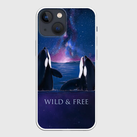 Чехол для iPhone 13 mini с принтом косатка в Тюмени,  |  | Тематика изображения на принте: ocean | orca | sea | sea animal | дельфин | касатка | кит | море | океан | рисунок кита