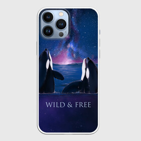 Чехол для iPhone 13 Pro Max с принтом косатка в Тюмени,  |  | ocean | orca | sea | sea animal | дельфин | касатка | кит | море | океан | рисунок кита