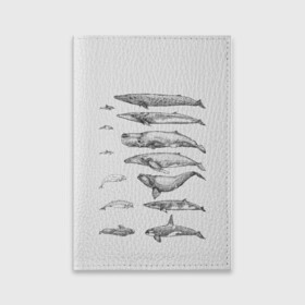 Обложка для паспорта матовая кожа с принтом киты графика в Тюмени, натуральная матовая кожа | размер 19,3 х 13,7 см; прозрачные пластиковые крепления | Тематика изображения на принте: ocean | orca | sea | sea animal | whale | графика | дельфин | касатка | кит | море | океан | плакат | рисунок кита