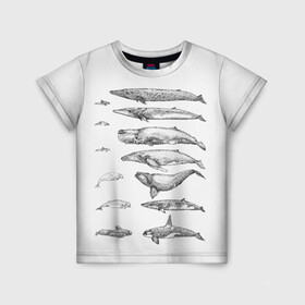 Детская футболка 3D с принтом киты графика в Тюмени, 100% гипоаллергенный полиэфир | прямой крой, круглый вырез горловины, длина до линии бедер, чуть спущенное плечо, ткань немного тянется | Тематика изображения на принте: ocean | orca | sea | sea animal | whale | графика | дельфин | касатка | кит | море | океан | плакат | рисунок кита