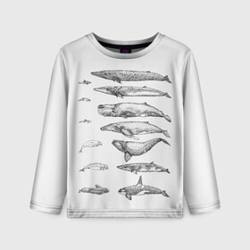 Детский лонгслив 3D с принтом киты графика в Тюмени, 100% полиэстер | длинные рукава, круглый вырез горловины, полуприлегающий силуэт
 | ocean | orca | sea | sea animal | whale | графика | дельфин | касатка | кит | море | океан | плакат | рисунок кита