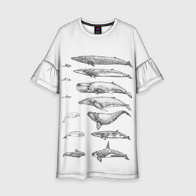 Детское платье 3D с принтом киты графика в Тюмени, 100% полиэстер | прямой силуэт, чуть расширенный к низу. Круглая горловина, на рукавах — воланы | Тематика изображения на принте: ocean | orca | sea | sea animal | whale | графика | дельфин | касатка | кит | море | океан | плакат | рисунок кита
