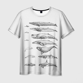 Мужская футболка 3D с принтом киты графика в Тюмени, 100% полиэфир | прямой крой, круглый вырез горловины, длина до линии бедер | Тематика изображения на принте: ocean | orca | sea | sea animal | whale | графика | дельфин | касатка | кит | море | океан | плакат | рисунок кита