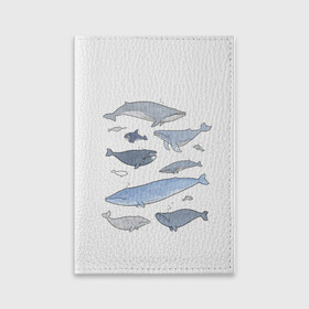 Обложка для паспорта матовая кожа с принтом киты в Тюмени, натуральная матовая кожа | размер 19,3 х 13,7 см; прозрачные пластиковые крепления | Тематика изображения на принте: ocean | orca | sea | sea animal | whale | графика | дельфин | иллюстрация | касатка | кит | море | океан | рисунок кита