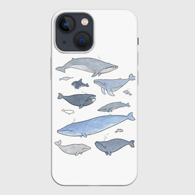 Чехол для iPhone 13 mini с принтом киты в Тюмени,  |  | Тематика изображения на принте: ocean | orca | sea | sea animal | whale | графика | дельфин | иллюстрация | касатка | кит | море | океан | рисунок кита