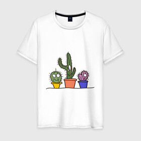 Мужская футболка хлопок с принтом Кактусы в Тюмени, 100% хлопок | прямой крой, круглый вырез горловины, длина до линии бедер, слегка спущенное плечо. | зеленые | кактус | кактусы | любовь | минимализм | растения