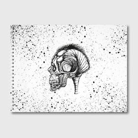 Альбом для рисования с принтом Череп Зверь и Брызги в Тюмени, 100% бумага
 | матовая бумага, плотность 200 мг. | beast | head | skulls | vampire | голова | животные | зверь | зубы | кости | мозги | паттерн | полосы | природа | скелет | текстура | точки | узор | хо | цветы | чб | черепа | черный | яркий