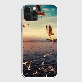 Чехол для iPhone 12 Pro с принтом Чайки на воде в Тюмени, силикон | область печати: задняя сторона чехла, без боковых панелей | вода | горы | закат | море | море чайки | на воде | озеро | птица | птицу чайку | птицы | суша | чайка | чайка 2 | чайка птица | чайка чайку | чайки | чайки на воде | чайков | чайку 2
