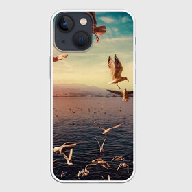 Чехол для iPhone 13 mini с принтом Чайки на воде в Тюмени,  |  | вода | горы | закат | море | море чайки | на воде | озеро | птица | птицу чайку | птицы | суша | чайка | чайка 2 | чайка птица | чайка чайку | чайки | чайки на воде | чайков | чайку 2
