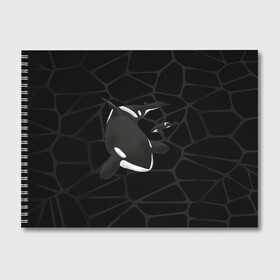Альбом для рисования с принтом Косатки в Тюмени, 100% бумага
 | матовая бумага, плотность 200 мг. | Тематика изображения на принте: whale | кит | косатка | косатки | морские